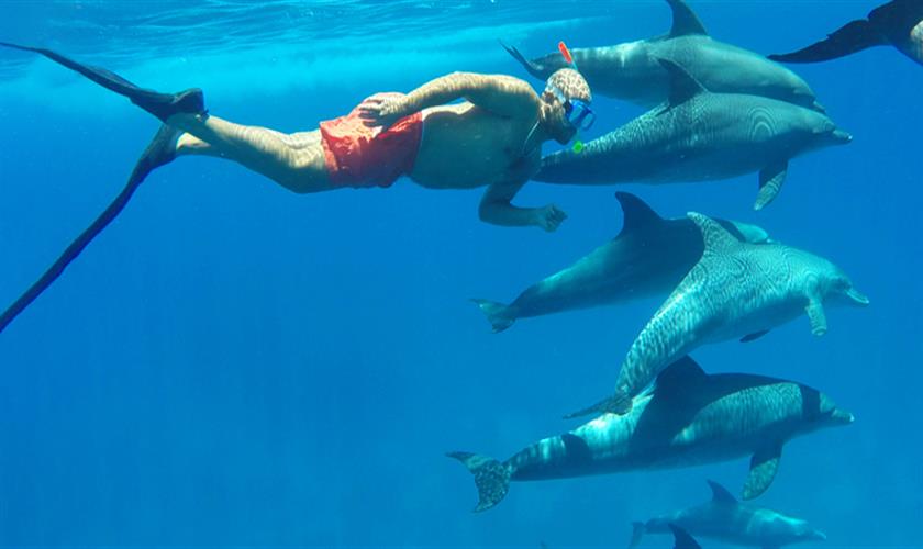 Ausflug Delfinschwimmen in El Gouna