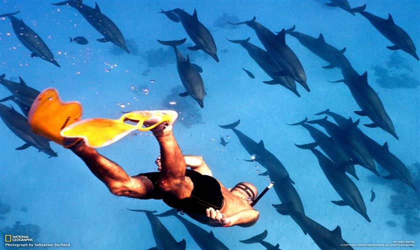 Einen Tag Delfinschwimmen in Hurghada