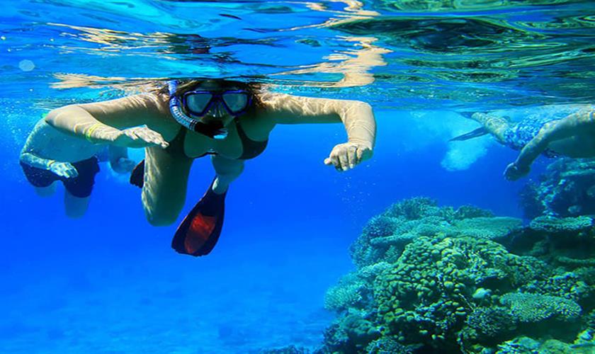 Giftun Inselschnorcheln in el gouna ägypten