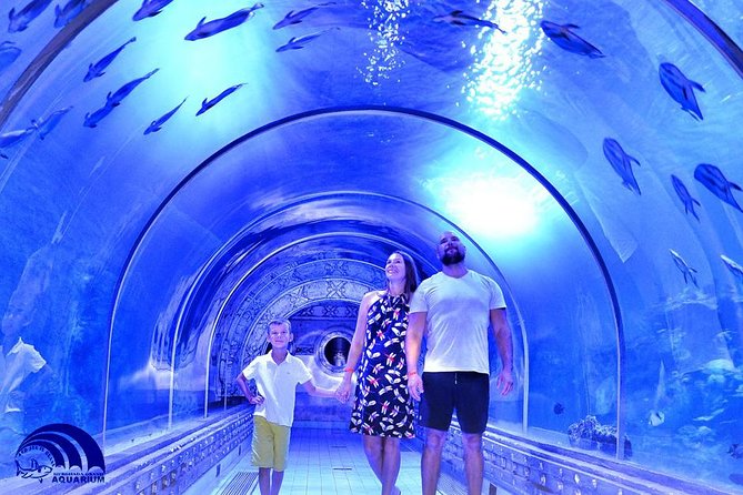 Hurghada-Grand-Aquarium