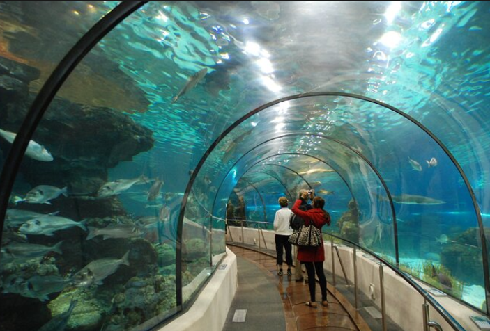 Hurghada-Grand-Aquarium