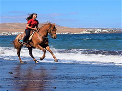 Hurghada : Pferdreiten am meer mit Mittagessen