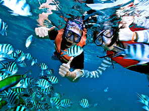 Hurghada Schnorchelausflug zur Giftun Insel