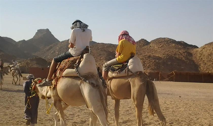 Kamalreiten in Marsa Alam safari