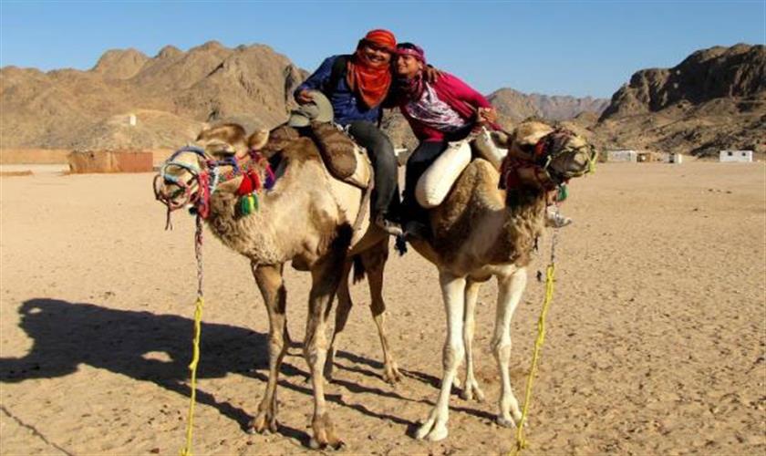 Kamelritt in Hurghada