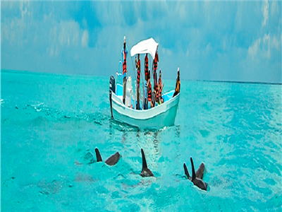 Marsa Alam Ausflüge