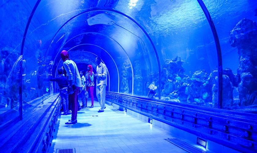 Red sea Aquarium ab Safaga
