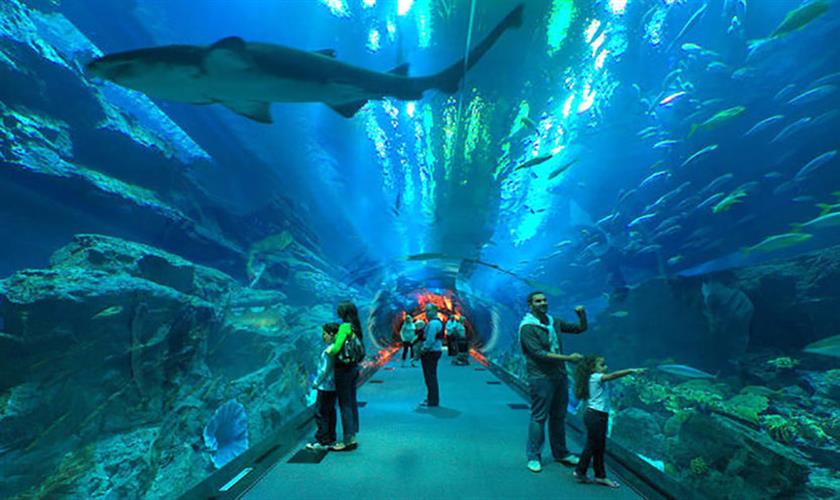 Red sea aquarium