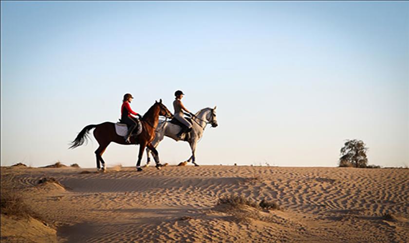 Reiten ausflug durch die Wüste ab Sharm el Sheikh