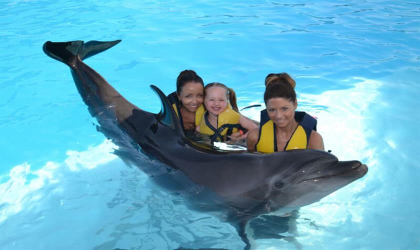 Schwimmen mit Delfinen ab Hurghada