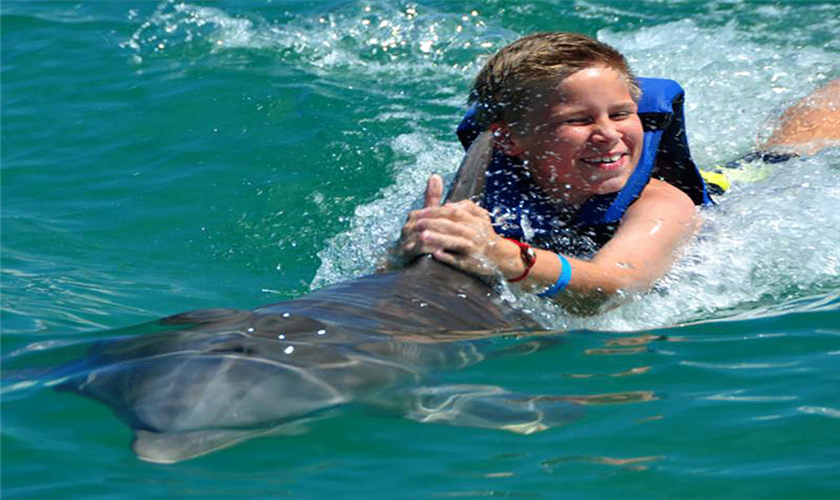 Schwimmen mit Delfinen in Safaga