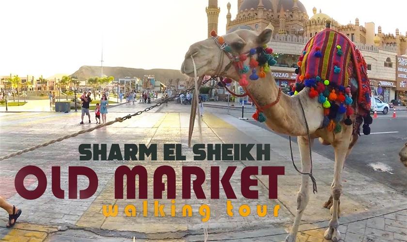 Sharm el Sheikh in Stadttour