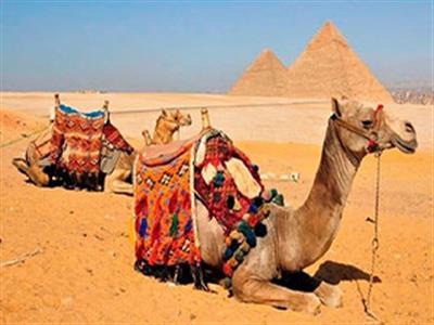 Landausflug von Ain Sokhna zu den Pyramiden und Kairo