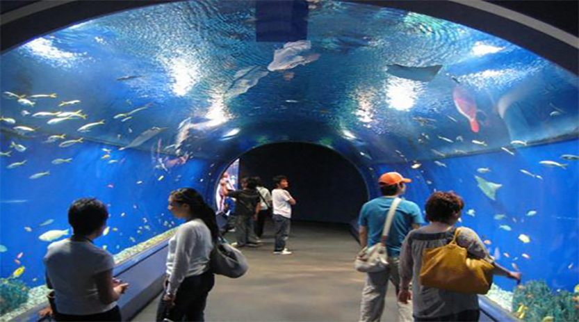 Grand Aquarium Hurghada ab El Gouna