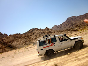 el gouna reiten Kamel Jeep Safari