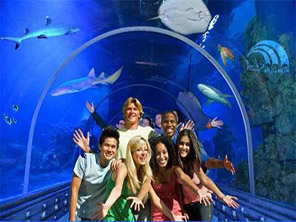 Eine Welt unter Wasser: das Grand Aquarium ab Safaga