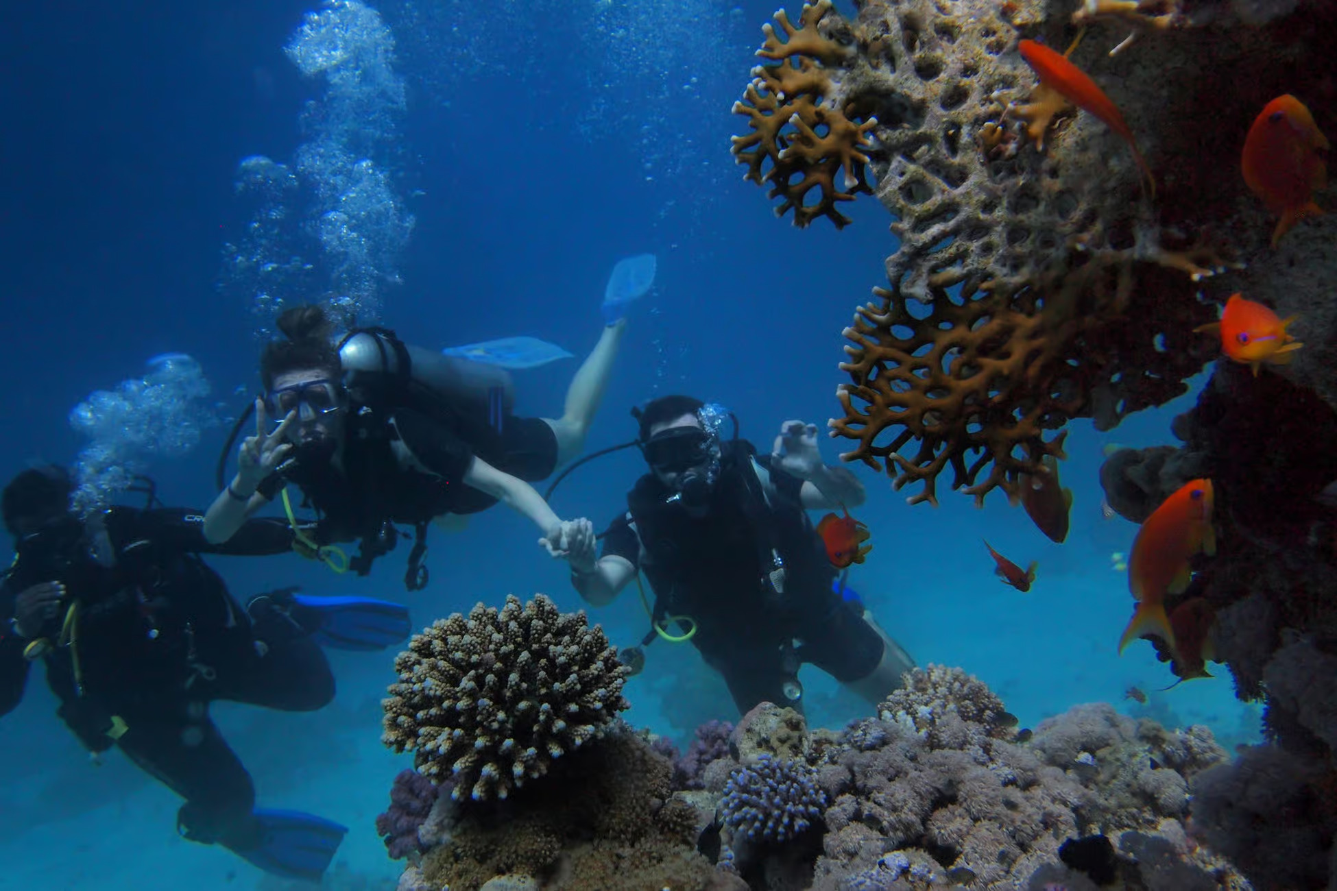 Schnorcheln vor Paradise Island in Hurghada