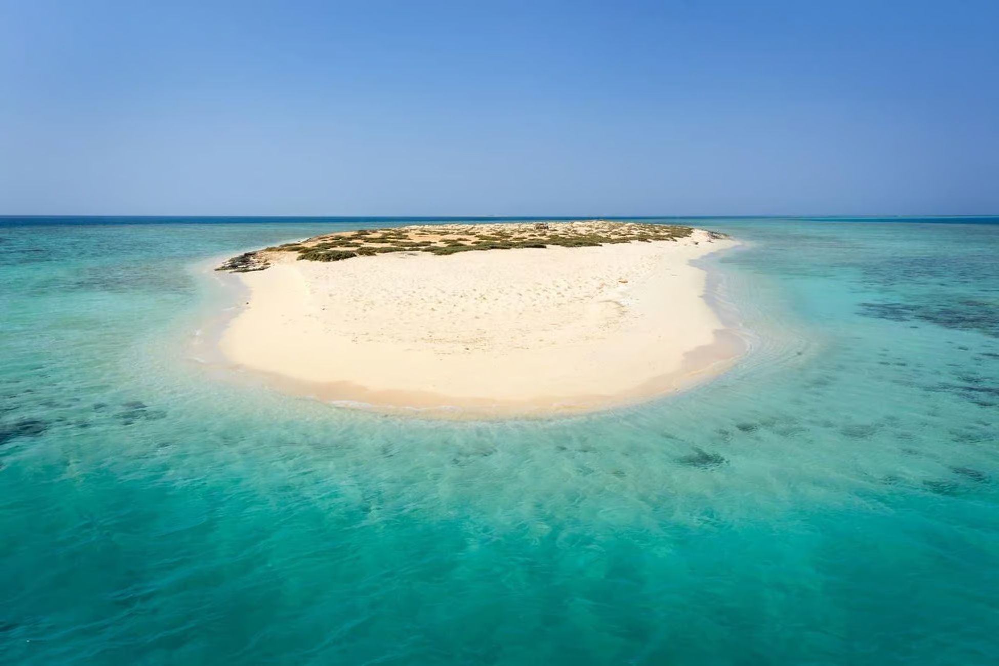 Marsa Alam Delfine
