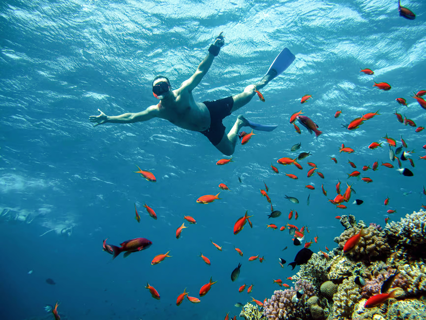 marsa-alam-tauchen-ausflug