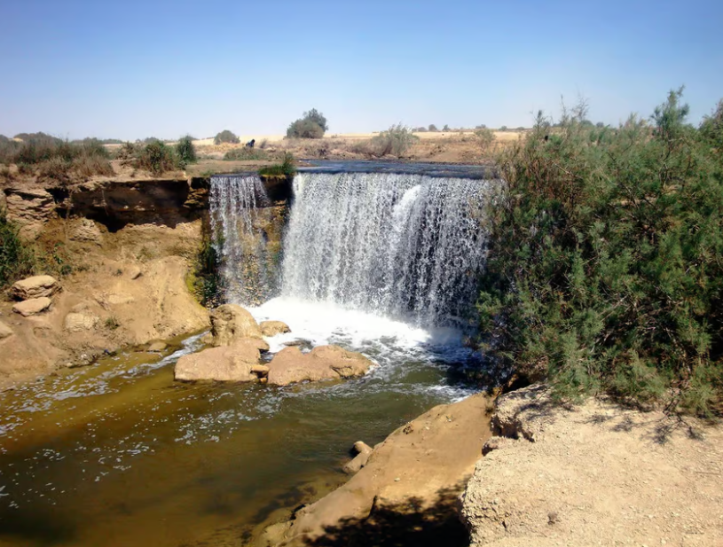 Tagesausflug Oasis Fayoum & Tal der Wale ab Kairo